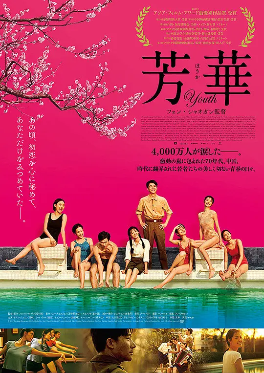 芳华 (2017)